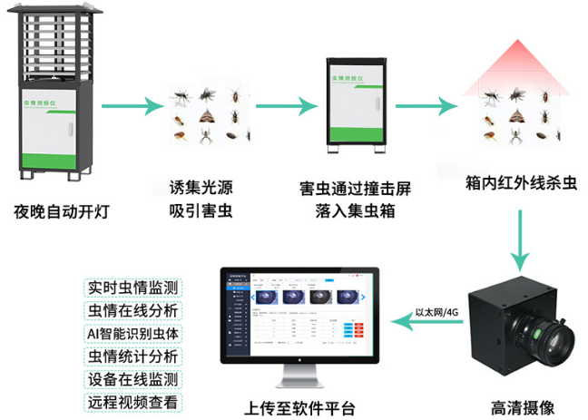 虫情测报仪（R8款）系统框架图