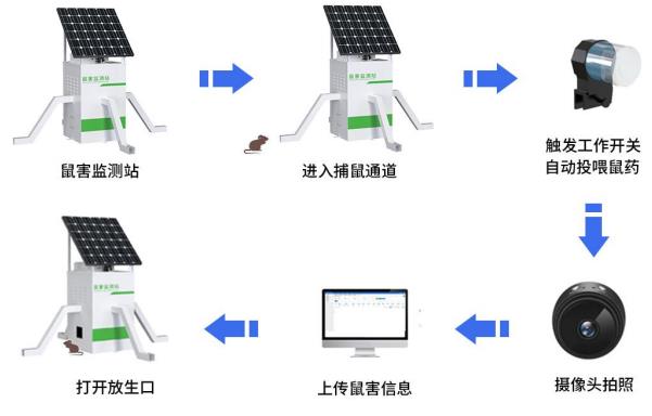 鼠害监测站系统框架图