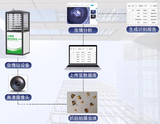 小虫体智能测报系统（R9款）系统框架图